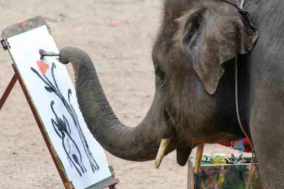 Elephant Tourism
